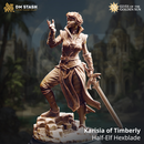 Karisia of Timberly - Half-Elf Hexblade | 3D Printed Miniature | DM Stash