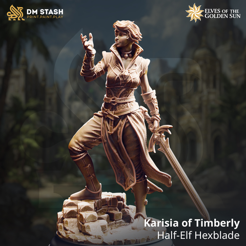 Karisia of Timberly - Half-Elf Hexblade | 3D Printed Miniature | DM Stash