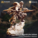 Reyvith the Valiant - Valadhar Veteran | 3D Printed Miniature | DM Stash
