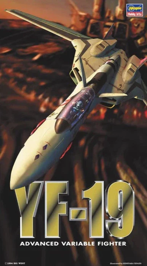 YF-19 Advanced Variable Fighter Model Kit (Copy) (Copy)