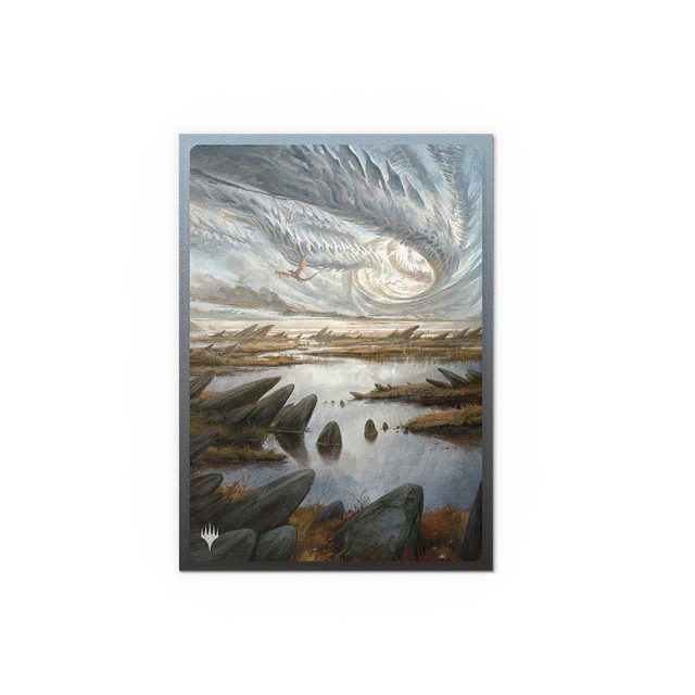 Dragon Shield: Standard - Art 100ct.