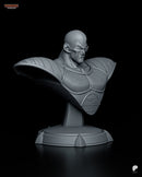 Nappa – Dragon Ball Z – Resin Bust