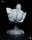 Zangief – Street Fighter – Resin Bust