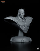Nappa – Dragon Ball Z – Resin Bust