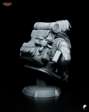Tarma Roving – Metal Slug – Resin Bust