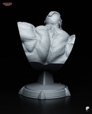 Zangief – Street Fighter – Resin Bust