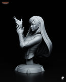 Tifa – Final Fantasy VII – Resin Bust