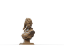 Nova Resin Bust - view 2
