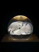 Sleeping Pikachu 3D Crystal Ball Pokemon Laser Engraved Collectible Display