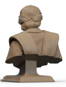 Anakin Skywalker Resin Bust - view 3