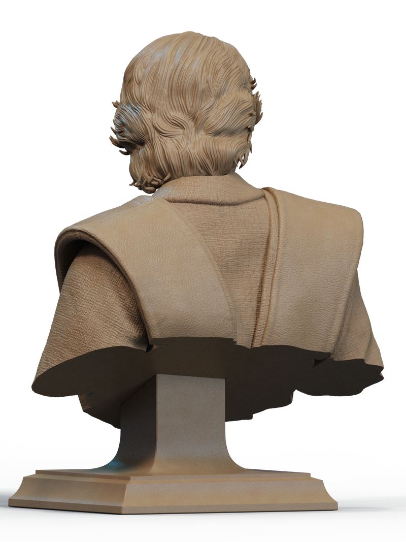 Anakin Skywalker Resin Bust - view 3