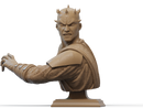 Darth Maul Resin Bust - view 1
