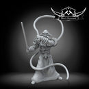 Warrior of the new emperor 2 (multi poses) - not supported - Star Wars Legion Proxy