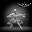 Mystical warrior - master of the last apprentice - Star Wars Legion Proxy