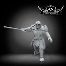 Authority executionner number 9 - Star Wars Legion Proxy