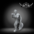 Father of the princess - Star Wars Legion Proxy