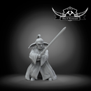 Mystical gnome warrior - Star Wars Legion Proxy