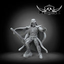 Dark lord horror - Star Wars Legion Proxy