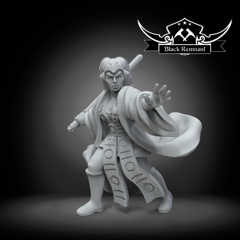 The historian - Star Wars Legion Proxy