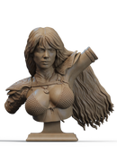 Red Sonja Resin Bust - view 1