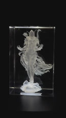 Sylvanas Windrunner World of Warcraft 3D Crystal Engraving – Fantasy Laser Crystal Display