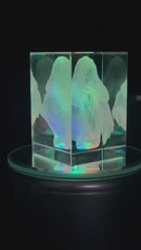 Qui-Gon Jinn crystal bust — silent video
