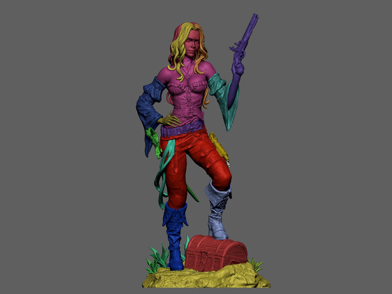 Pirate Resin Statue - view 6