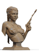 Princess Leia Resin Bust - view 2