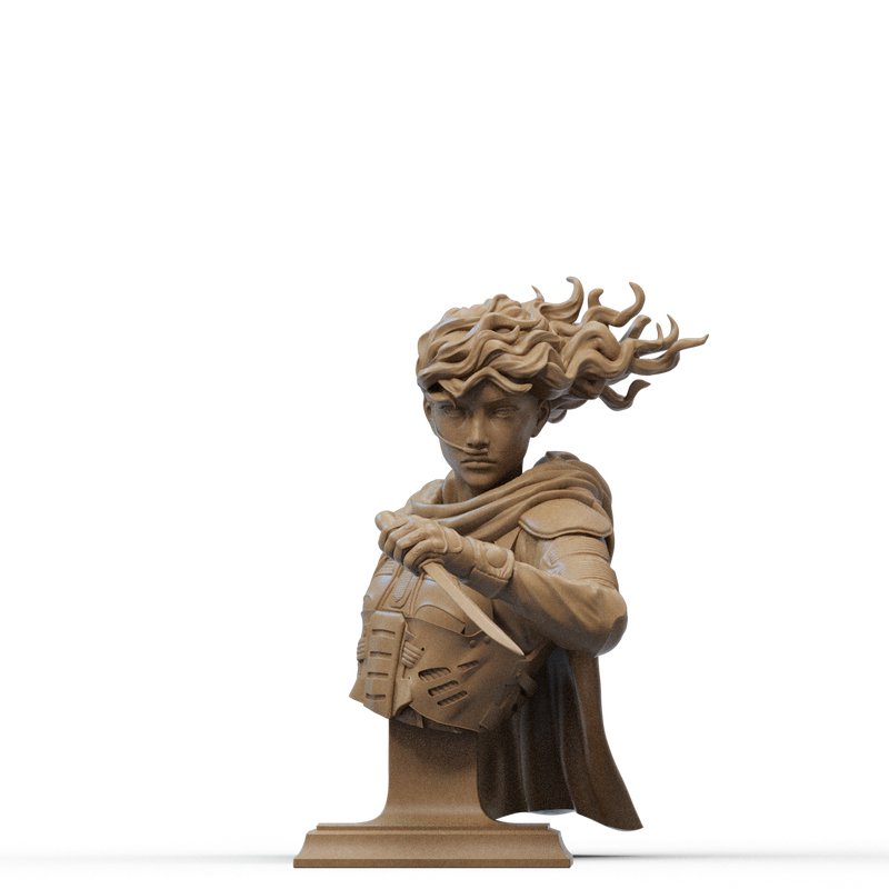 Chani Resin Bust - view 1