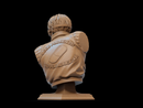 Kaneda Resin Bust - view 3