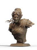 Minthara Resin Bust - view 1