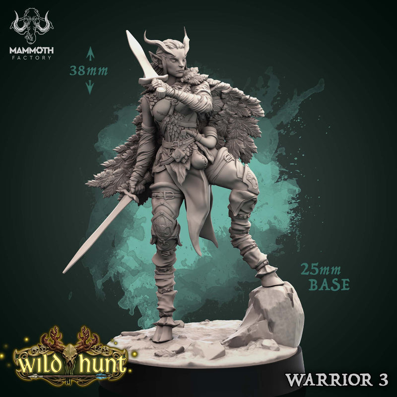 Elf Warrior (3)  | DnD Miniature | TTRPG Miniature