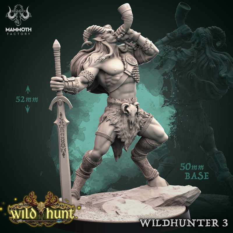 Wild Hunter (3)  | DnD Miniature | TTRPG Miniature