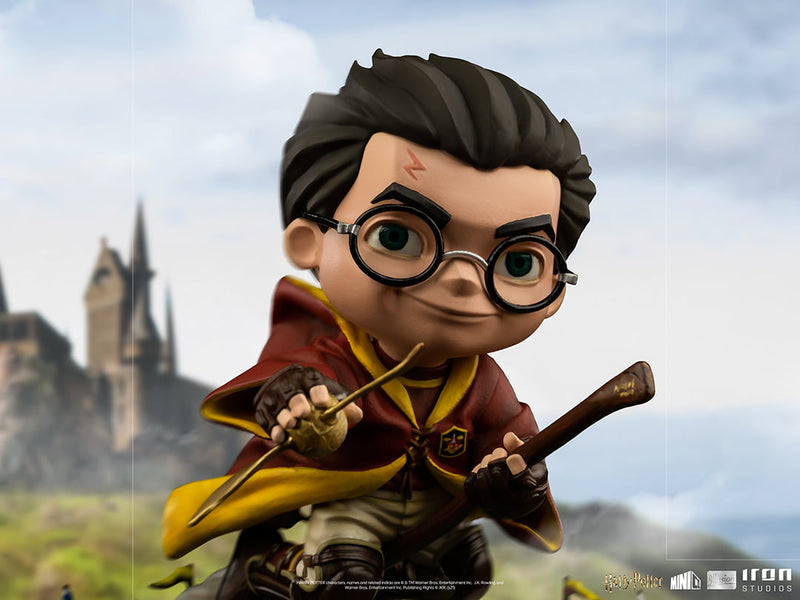 Harry Potter at the Quidditch Match – Harry Potter – MiniCo Illusion
