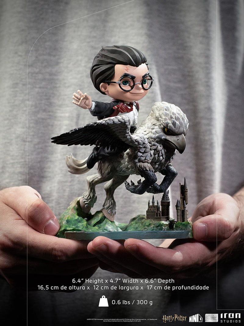 Harry Potter and Buckbeak – Harry Potter – MiniCo Illusion