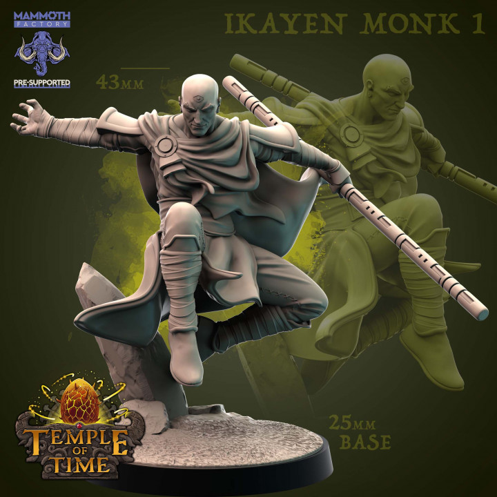 Ikayen Monk 1 | DnD Miniature | TTRPG Miniature
