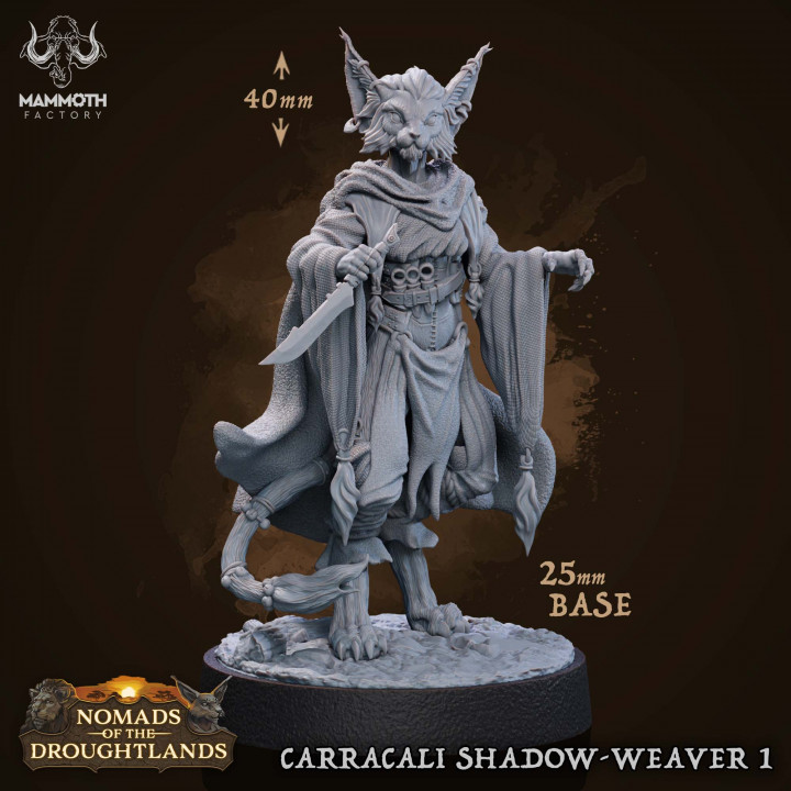 Carracali Shadow-Weaver 1 | DnD Miniature | TTRPG Miniature